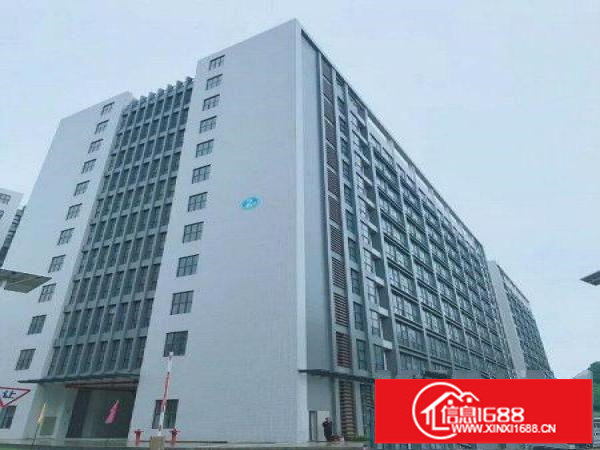 新出红本大厦招租,可做公司部、酒店、医院、学校