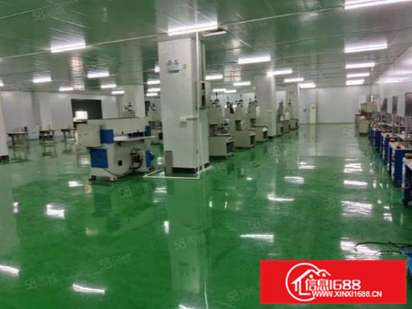 大朗原房东4500平无尘车间厂房招租!水电齐全,带办公室精装