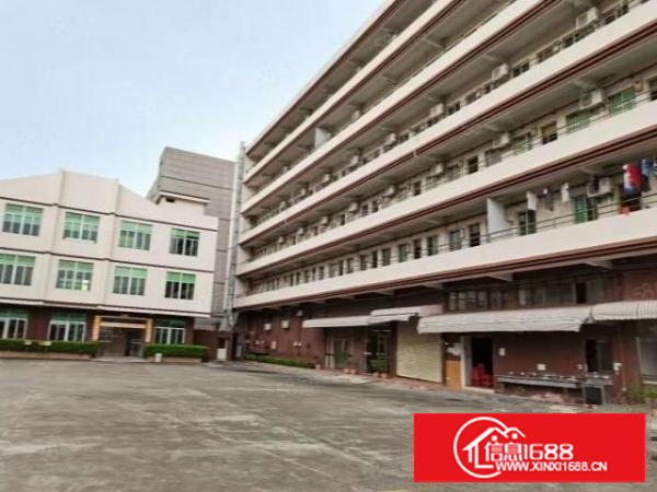 万江简沙洲靠港口大道环城路原房东标准独门独院,独立宿舍办公