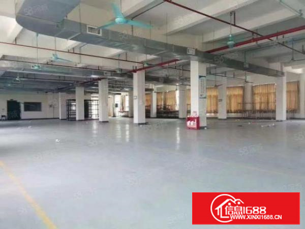 万江简沙洲靠港口大道环城路原房东标准独门独院,独立宿舍办公