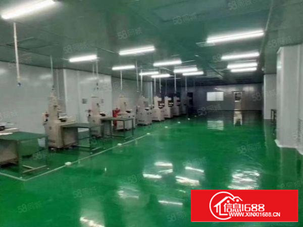 宝安沙井原房东4800平独院厂房仓库出租可分租