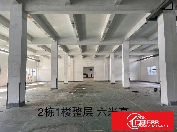 横岗沙荷路一手房东 ​带红本一楼6米高，面积2600平 二楼200至2400平方分租