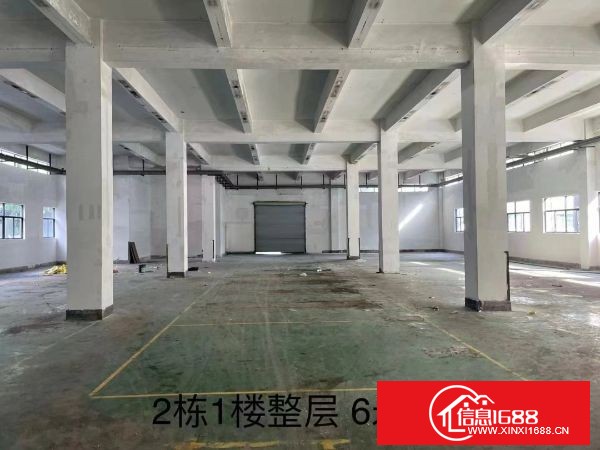 横岗沙荷路一手房东 ​带红本一楼6米高，面积2600平 二楼200至2400平方分租