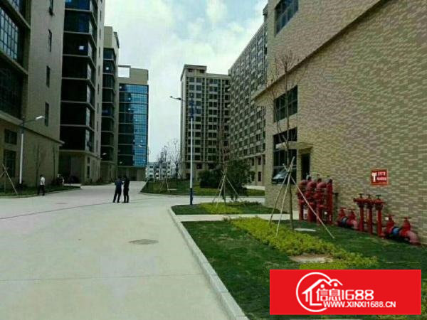 凤岗原房东隆重推出高型产业园(双证齐全)出租