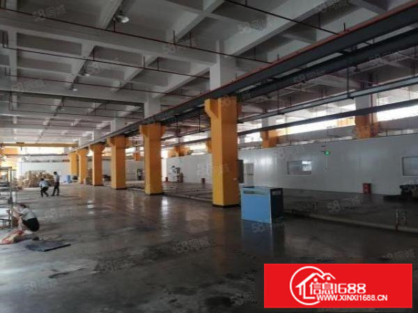 新出寮步原房东目前亮独门独院,可办环评,现成装修