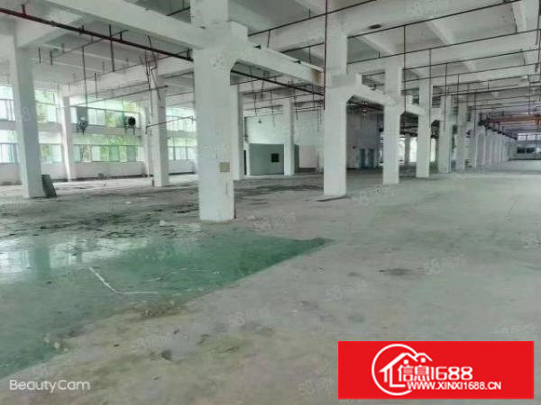 松岗地铁站红本独院13200平低至19元600平起分