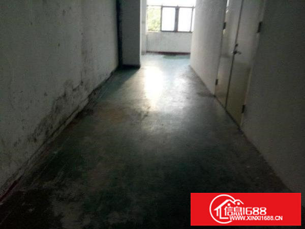 松岗大田洋220平标准厂房出租,公摊小,便利,实图