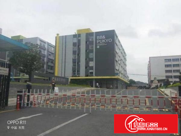 长安乌沙原房东独院3000平厂房出租电子五金