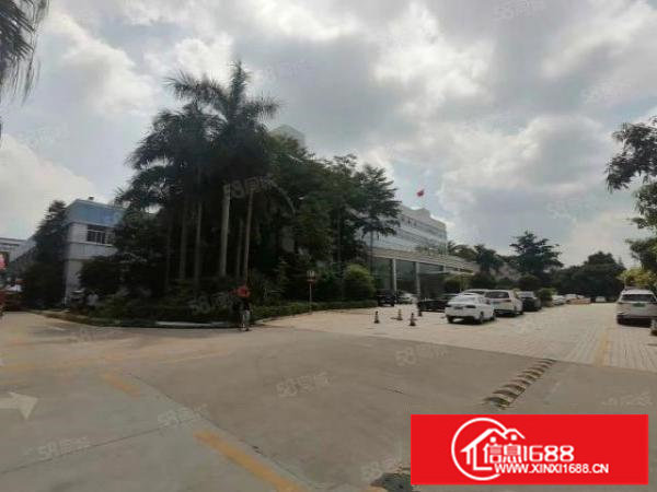 观澜福民润塘工业区新出楼上1000平方带精装修大小可分出租!