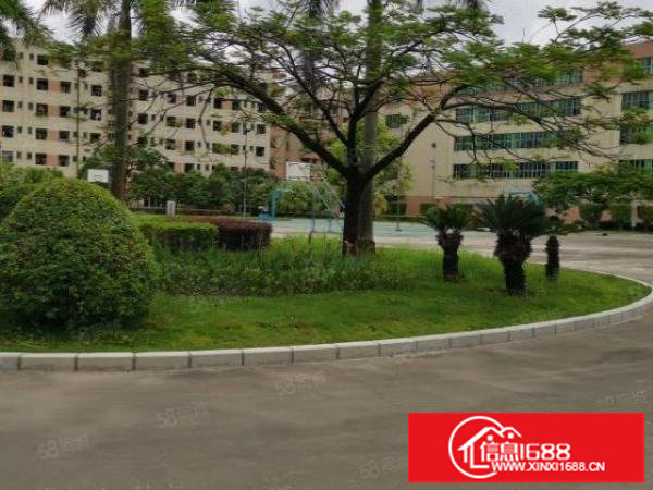 观澜工业园独院10万平精装厂房仓库出租300平起分租一楼厂房