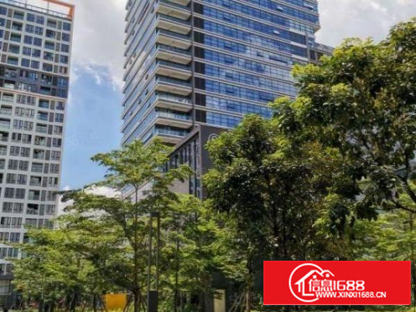 凤岗金凤凰拎包入驻300一500平起租可定制水电办公室地坪漆