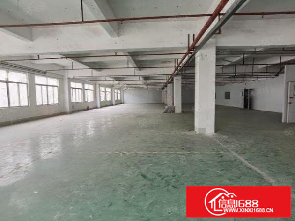 寮步镇百业五金城附近新出独院厂房