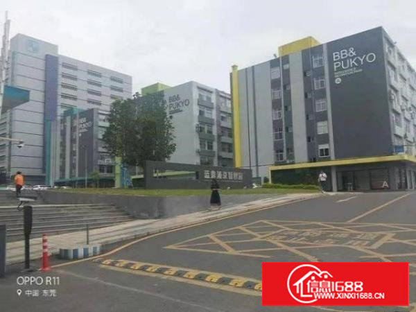 长安乌沙原房东独院3000平厂房出租电子五金