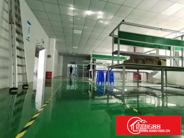 火火,业主好说话,塘厦科苑城6000平方米装修好独院厂房出租