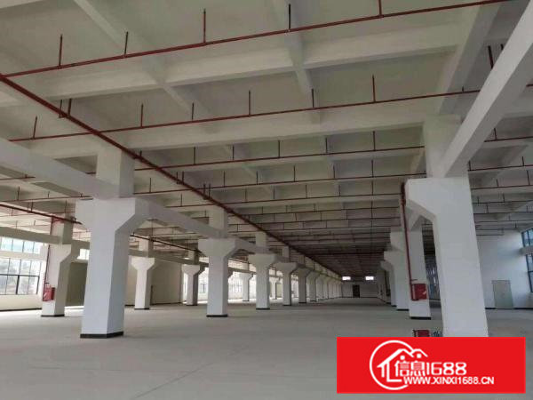 常平|国有土地园区独栋厂房164328平方厂房出租