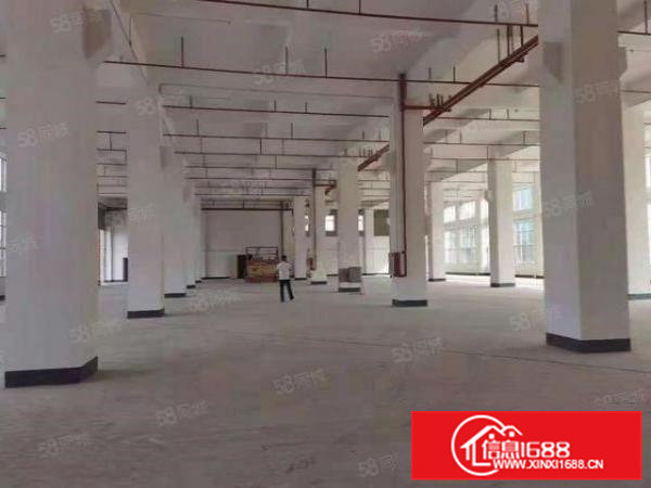 (国有红本)大岭山厚大路边1楼2000平独院园区标准厂房出租