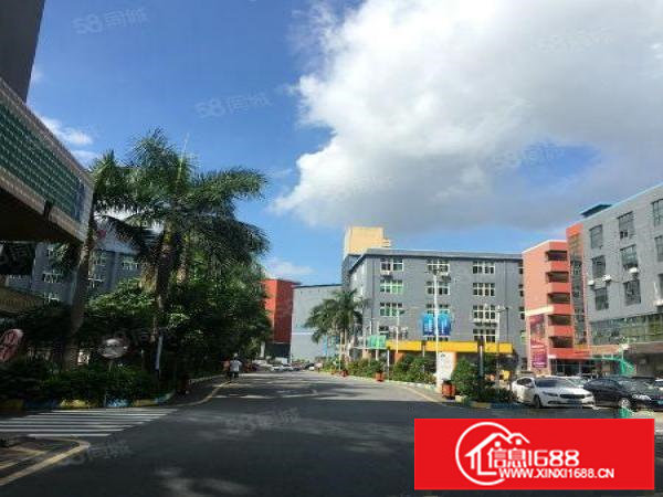 龙岗爱南路电商小精装办公费室业主直招价格可谈