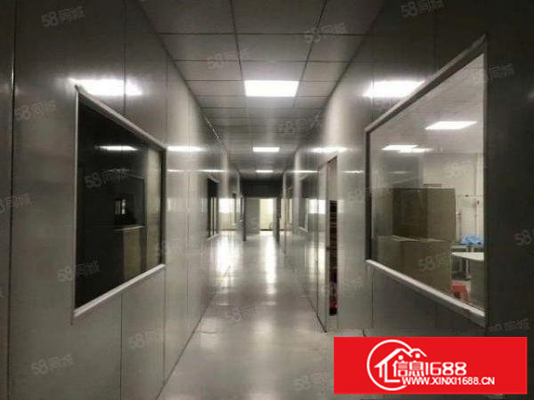 观澜桂花独门独院红本无尘车间出租500平分租