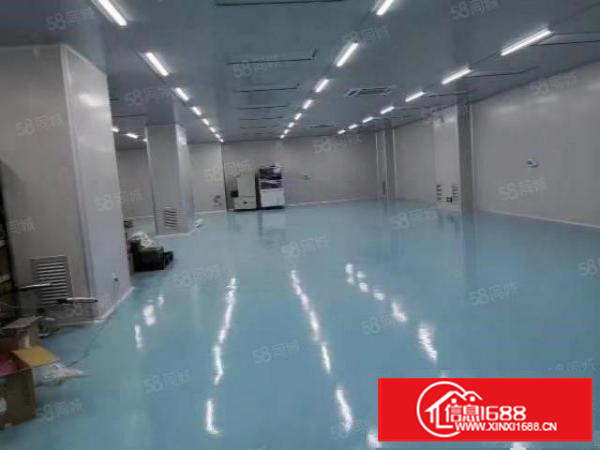 寮步西溪自用厂房出租一楼1000平方;无公摊面积