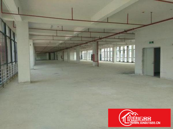 坪山海科星产业园楼上整层2000平送精装厂房出租