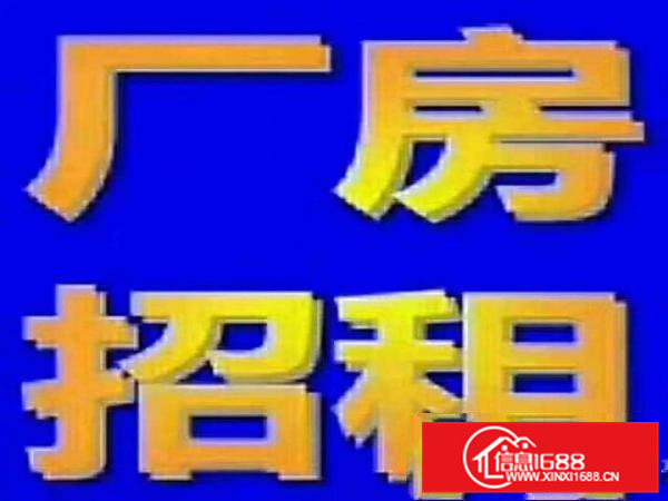 桥头镇独院厂房出租，一手房东，一手房东，机会难得！赶快行动！