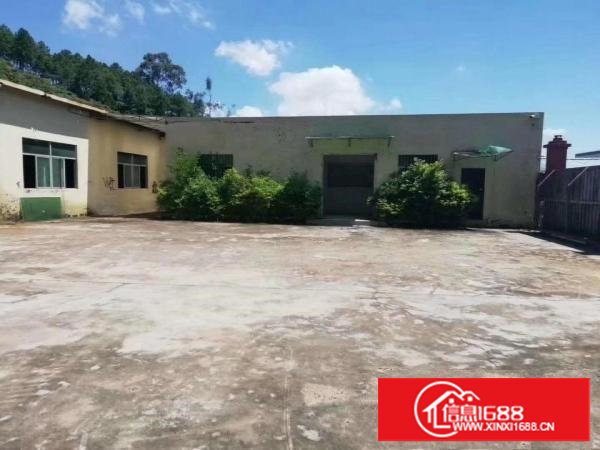 塘厦龙背岭钢构独院1400平,滴水6米,微偏可噪音粉尘污染