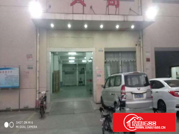 长安乌沙一楼1000平米厂房出租(带装修)出租楼层高