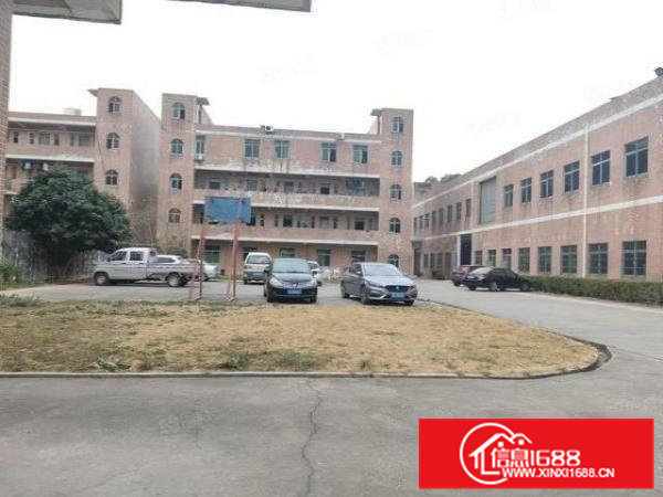 清溪镇中心新空出标准一楼厂房1160平水电齐全电已到车间