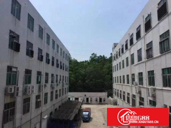 六约300至1680平方厂房仓库招租