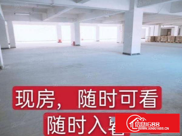 业主直租寮步新出厂房4台3吨货梯工业用地消防合格分租