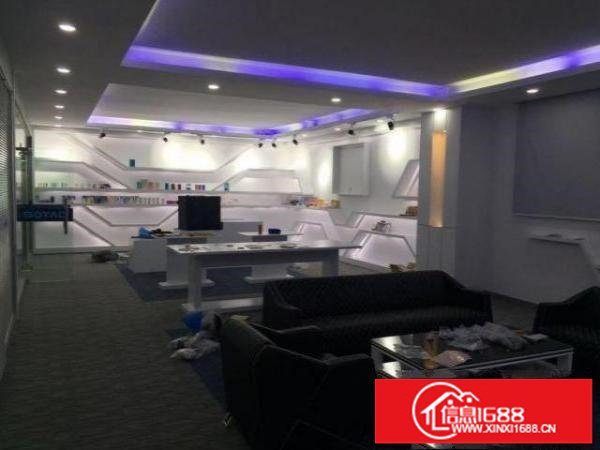 坂田地铁110.200.300.500平方出租