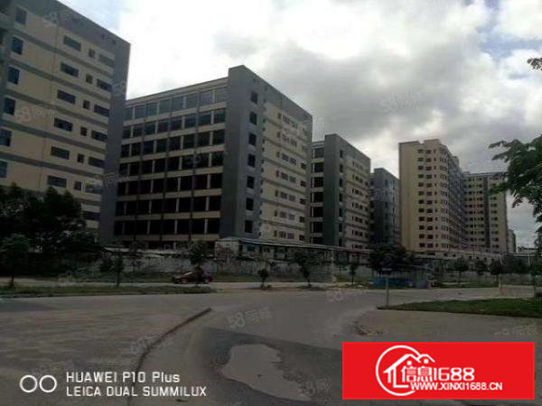 大岭山新出厂房1800平,可分租可办环评,拎包即可入驻