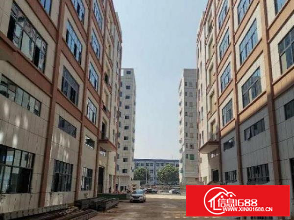 常平红本工业豪华装修厂房1000㎡起租,位于工业聚集地