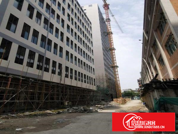 全新15155平方高端厂房,可分租,采光充足,水电齐全