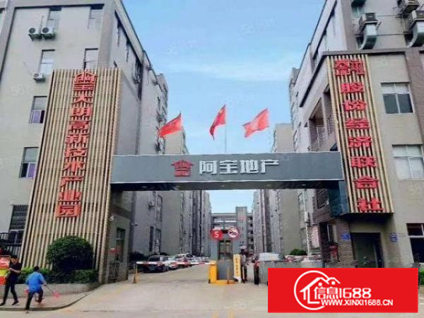 大朗镇一楼1600富民工业城工业聚集地出租可分租