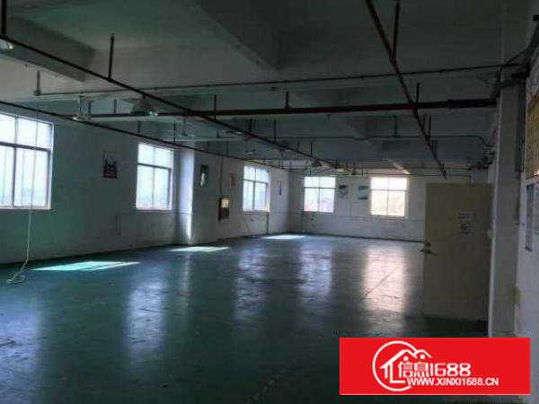 沙井新桥国道科技园直租300-1000平精装厂房,水电齐全