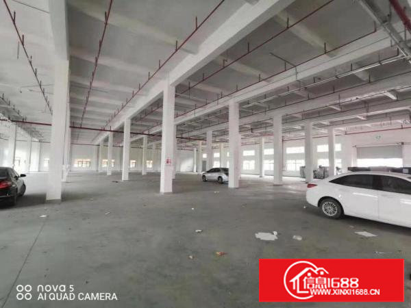 【一楼6米高,可分租】科苑城6800平方独栋标准厂房,临深圳