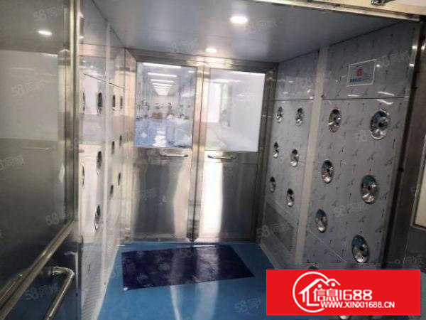 观澜桂花独门独院红本无尘车间出租500平分租