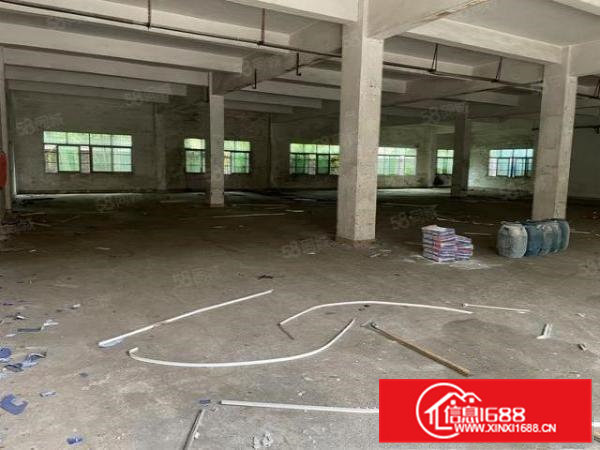 大朗新马莲公园对面原房东独院单一层高5米1350平厂房出租