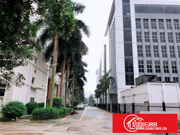 平湖辅城坳工业区新出一楼500平方水电齐全带装修办公室空地大