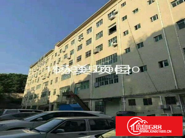 红本独门独院独栋厂房适合数据库物流学校医院企业总部培训