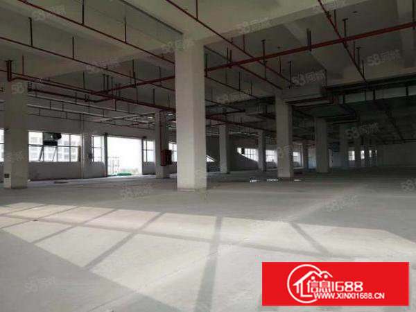 业主直租~所见即所得!全新标准厂房19元!