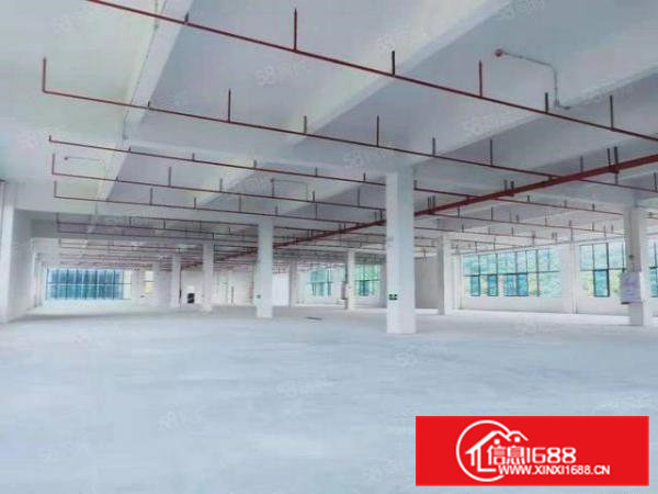 大岭山政府工业园厂房招商,带政府项目补贴