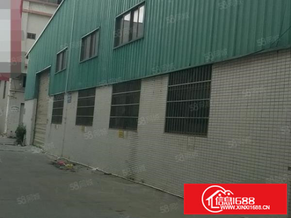 原房东)大朗新出钢构单一层厂房1250平,0公摊,可分租