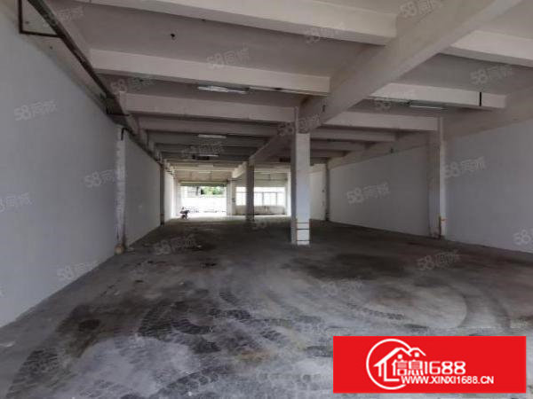 新出!龙华区观澜梅观高速路口一楼标准厂房540平方出租.