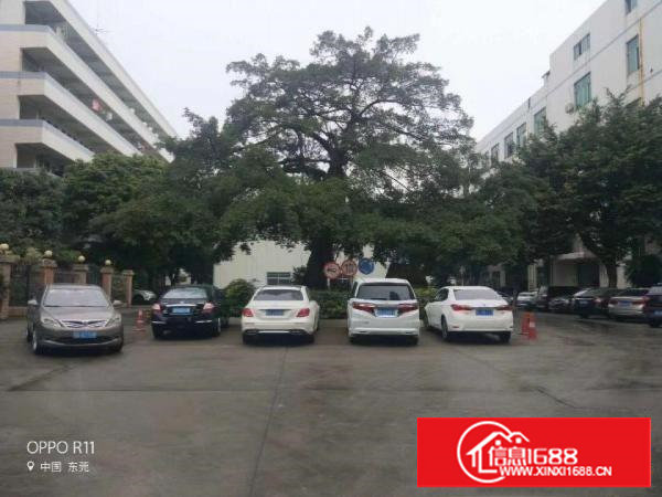 长安涌头一楼1200平厂房出租可整租可分租