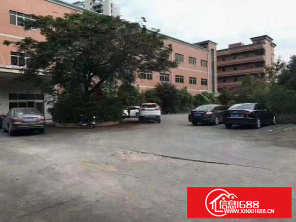 大小可分租常平陈屋贝原房东独院3层9000平厂房仓库出租