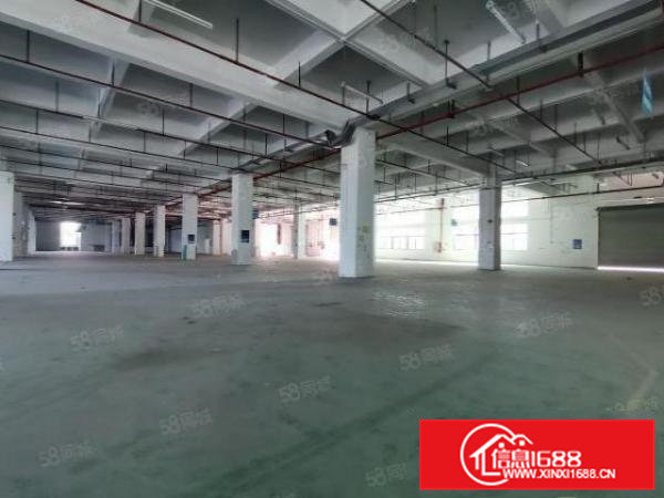 500起清溪银湖工业园2万厂房仓库原房东出租可分组