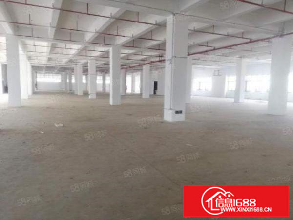 深圳坪山区96557平米全新工业厂房出租,可以分租