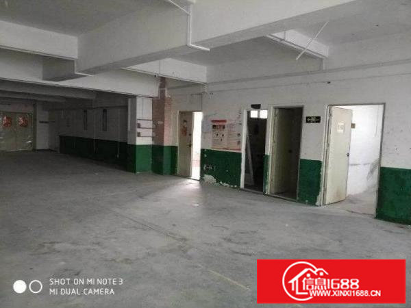 松岗大田洋2160平厂房火热出租,可分割,价格实惠